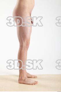 Leg reference of Dexter 0001